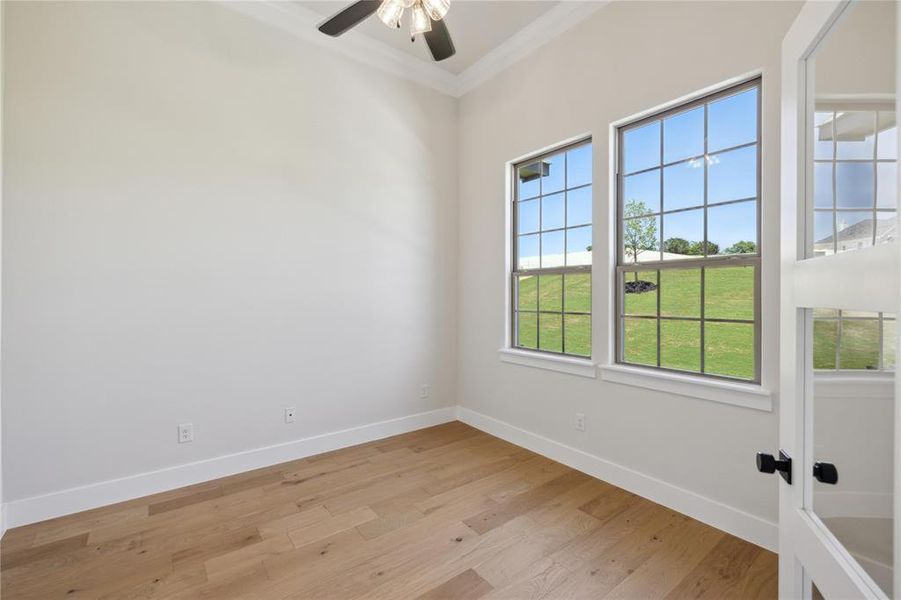 Empty room with light hardwood / wood-style floors, ornamental molding, and ceiling fan