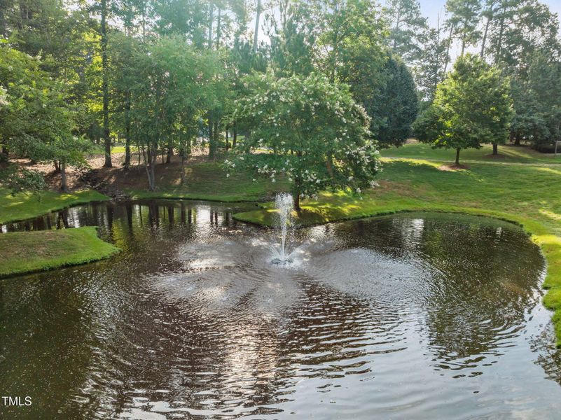 43-web-or-mls-DJI_0054