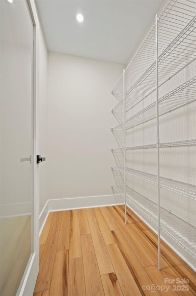 Walk-in pantry with frosted glass door