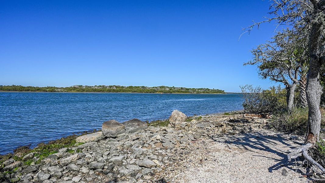 Natural landscape and outdoor views near Colbert Landings in Palm Coast (Image 84).