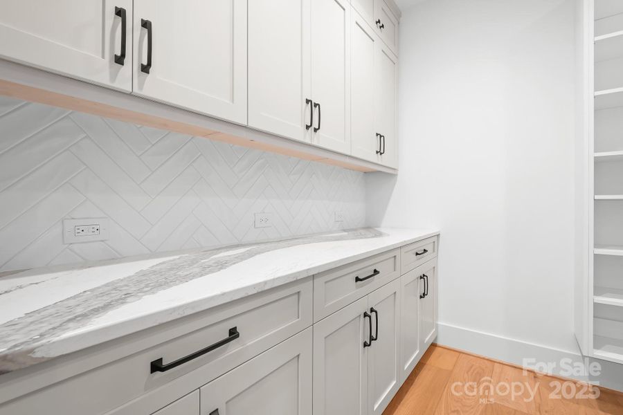Large Pantry with cabinetry and shelving