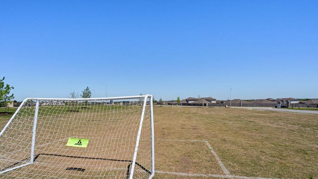 SOCCER FIELD