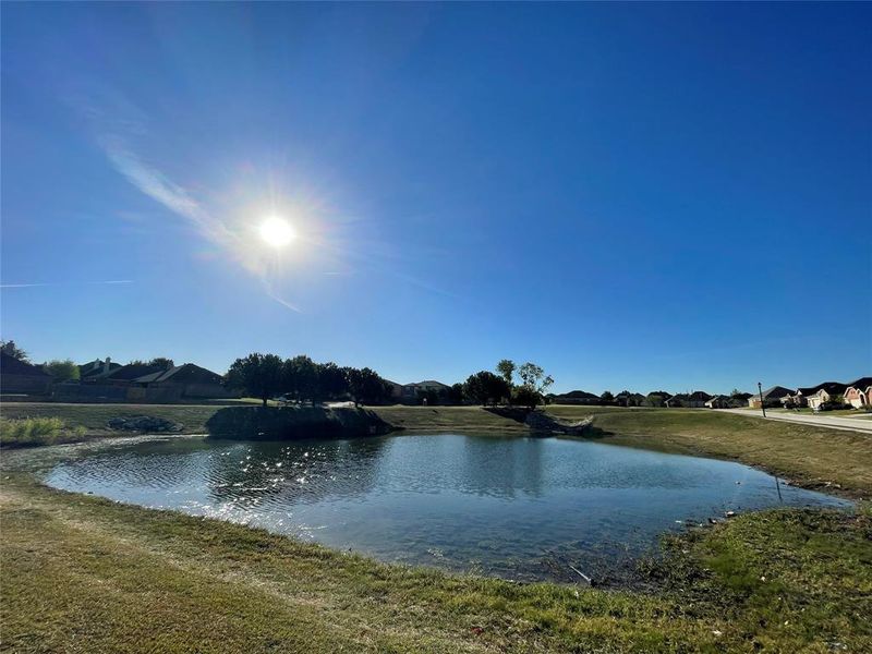 Catch & Release Pond Catch & Release Pond