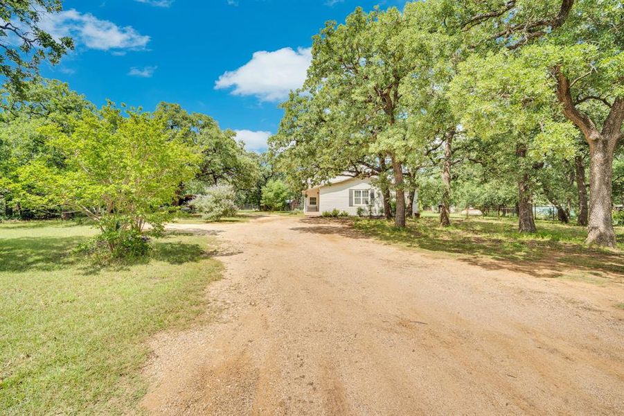 Natural landscape and outdoor views near  in Cleburne (Image 20).