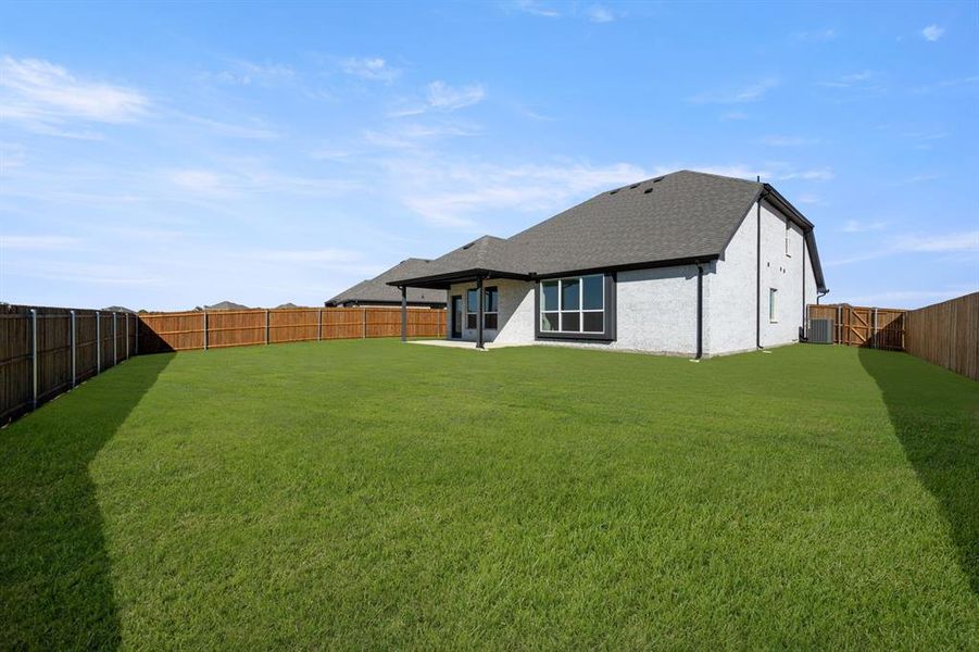 265 Coronado- Back-1 265 Coronado- Back-1