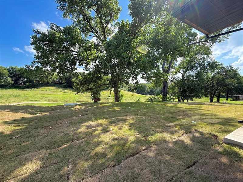 Spacious Backyard - Walking Trail Spacious Backyard - Walking Trail