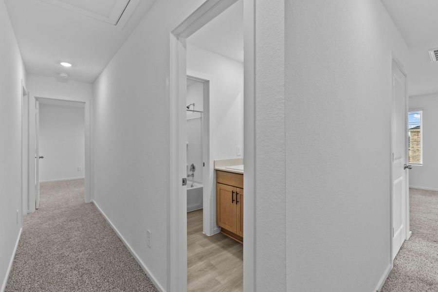 Spacious, unfurnished interior of a new home in Cypress Green, Hockley (Image 29).