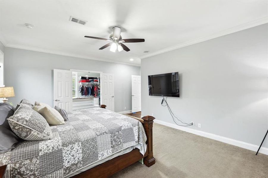 Bedroom featuring crown molding, a spacious closet, carpet floors, a closet, and ceiling fan