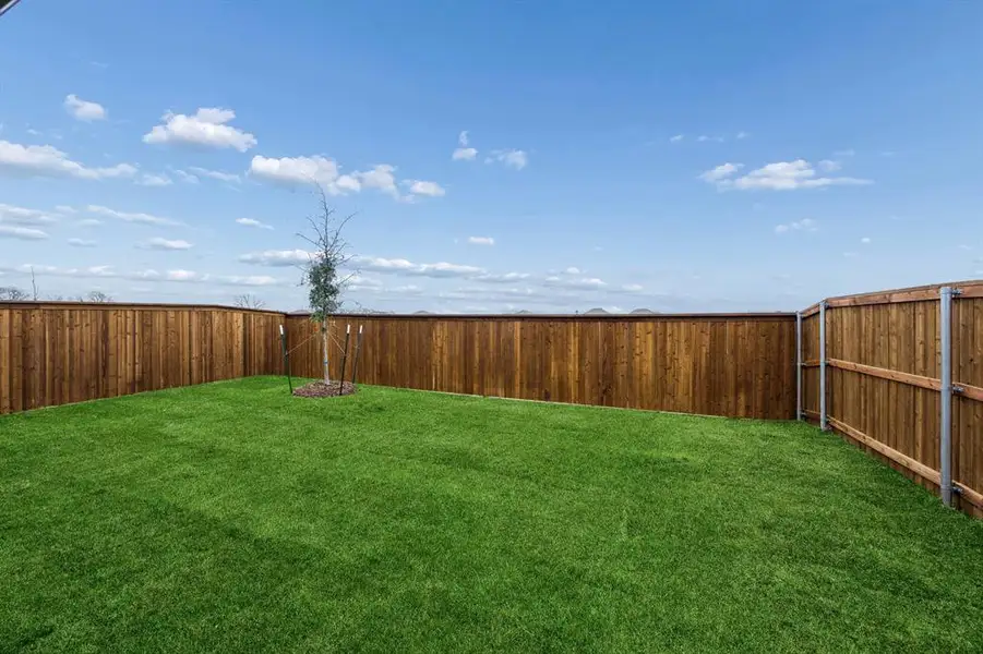 Yard in the Cedar home plan by Trophy Signature Homes – REPRESENTATIVE PHOTO