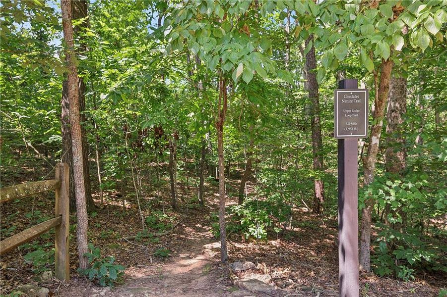 Natural landscape and outdoor views near  in Dawsonville (Image 46).