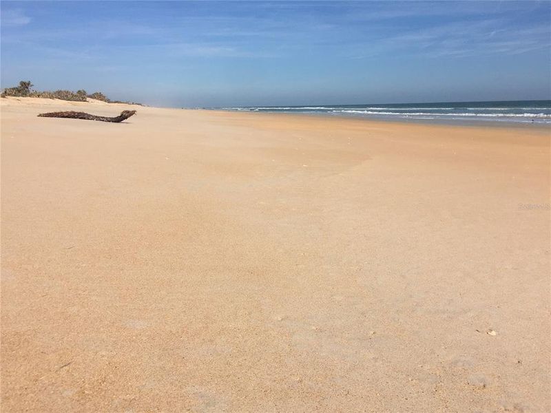 Natural landscape and outdoor views near  in Fernandina Beach (Image 54).