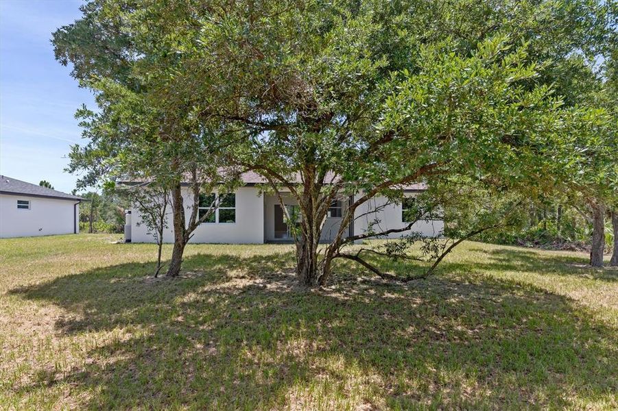 Natural landscape and outdoor views near in North Port (Image 34). Natural landscape and outdoor views near in North Port (Image 34).