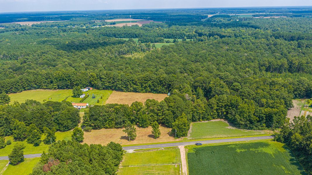 Natural landscape and outdoor views near  in Holly Hill (Image 51).