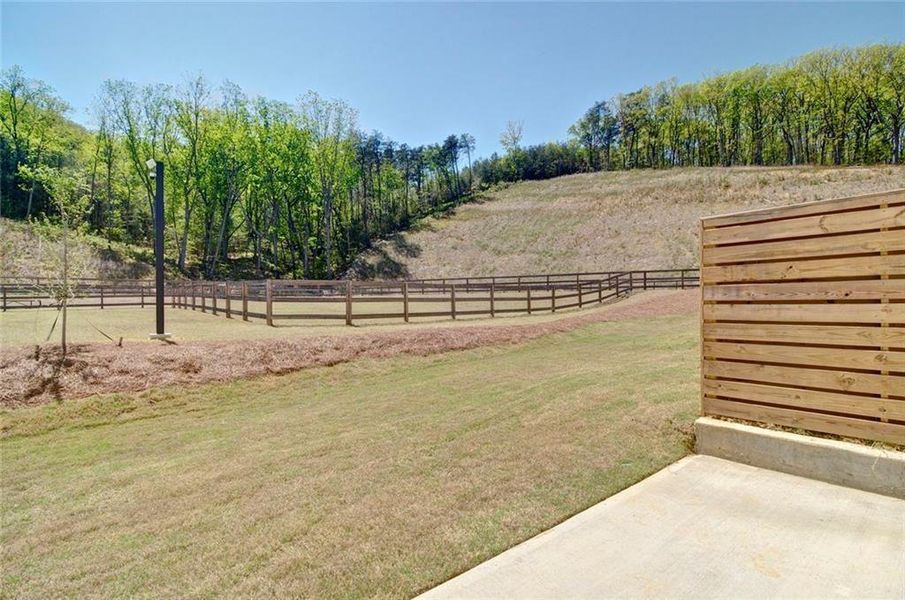 Exterior details and patio area of a home in Highland Crossing, Cartersville (Image 26).