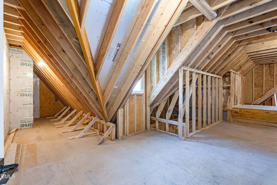 44-web-or-mls-DSC04777