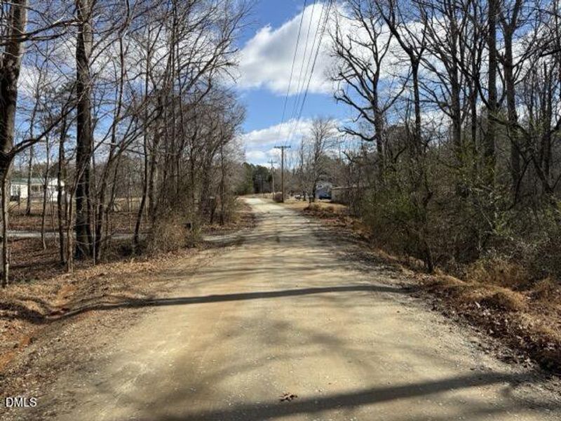 IMG_3215 Medium IMG_3215 Medium