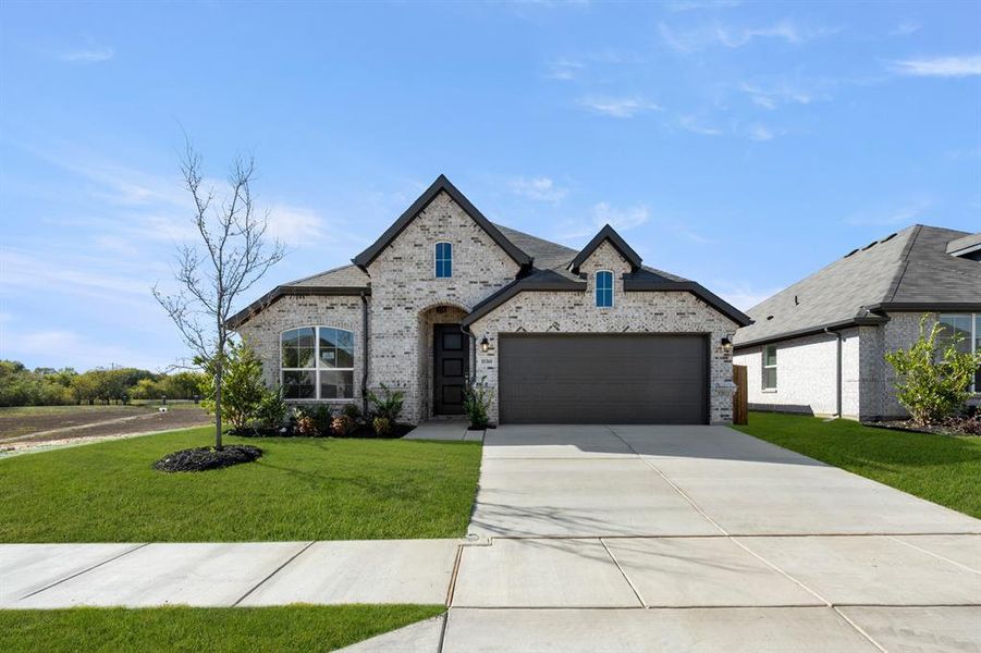 10360 Tapioca- Front-1 10360 Tapioca- Front-1