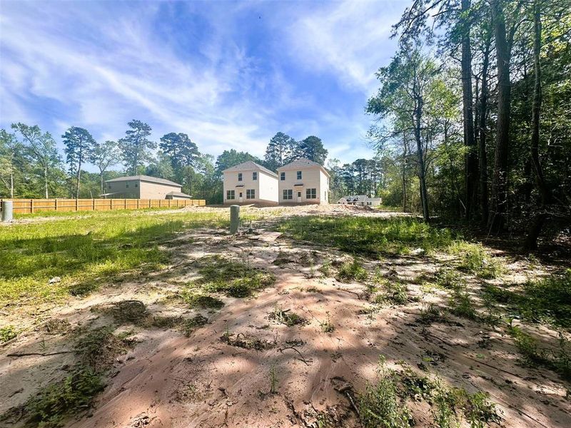 So many possibilities in this spacious back yard