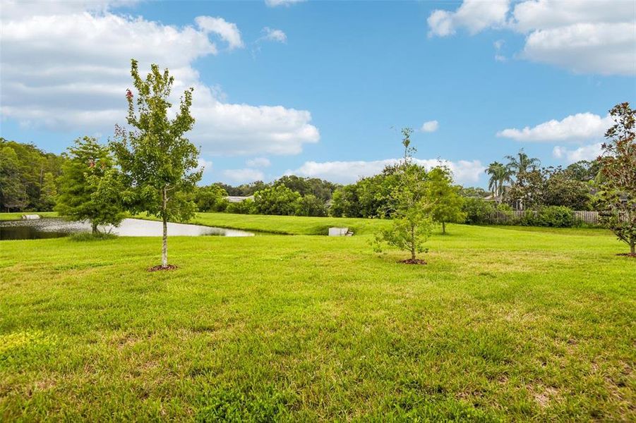 Natural landscape and outdoor views near  in Odessa (Image 39).