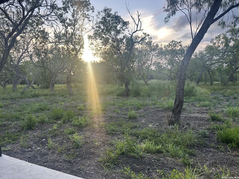 Natural landscape and outdoor views near  in Karnes City (Image 14).