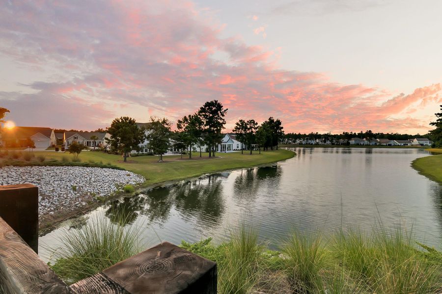 Natural landscape and outdoor views near  in Summerville (Image 84).