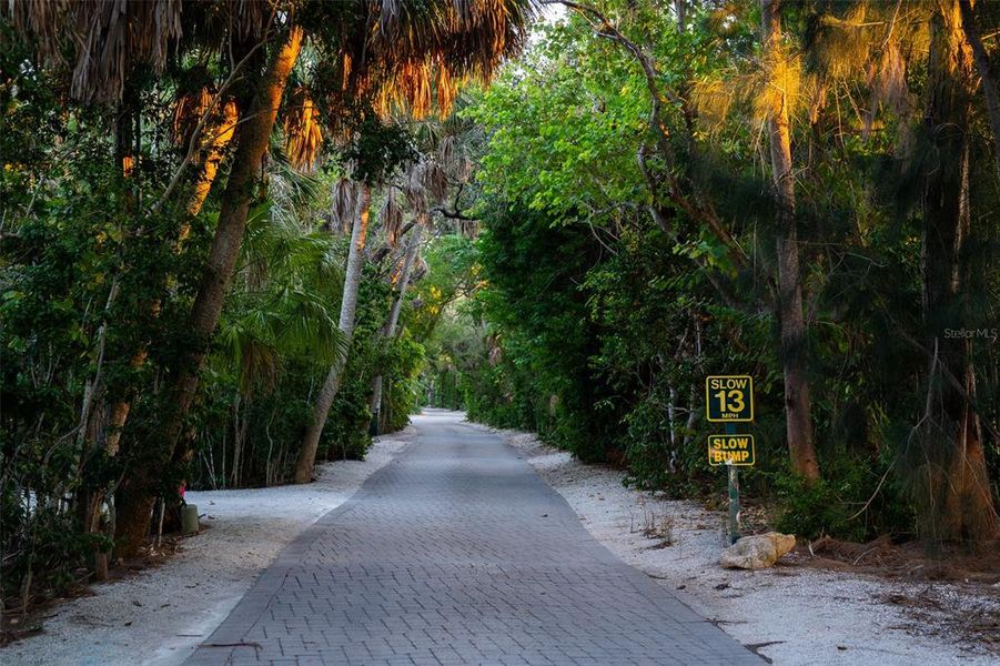 Natural landscape and outdoor views near  in Sarasota (Image 18).