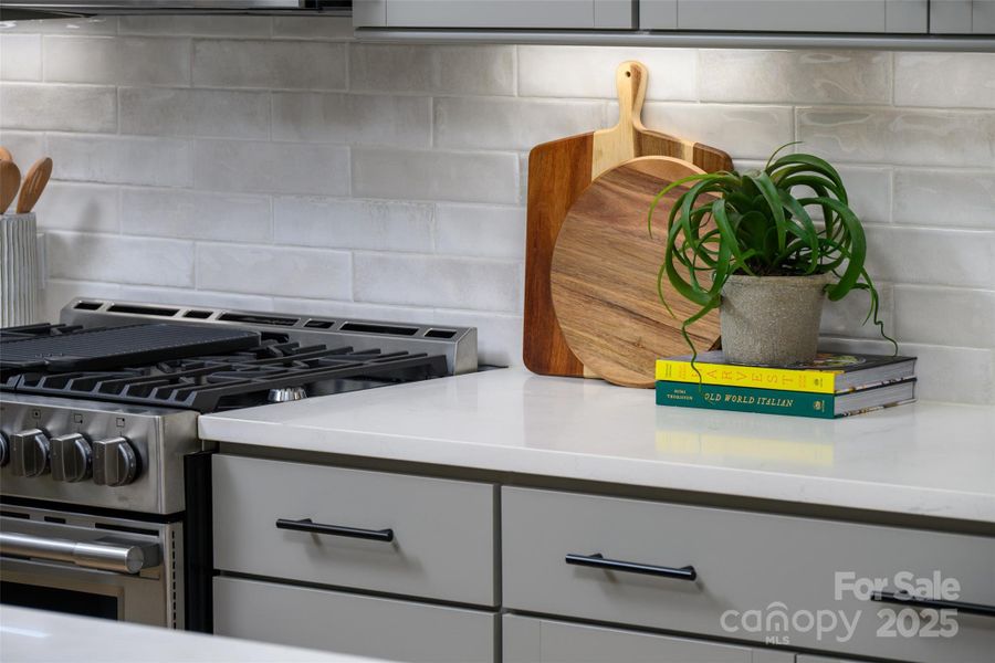 Close-up of interior finishes inside a home in North Creek Village, Huntersville (Image 19).