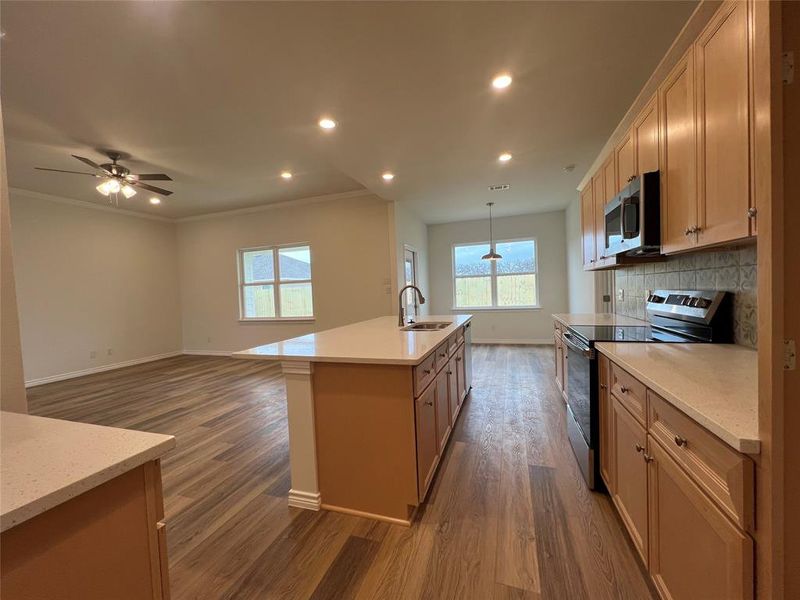 Kitchen with Pull out Spice Rack and Trash Bin