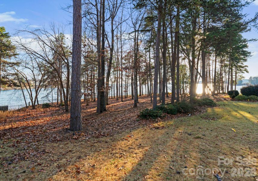 Natural landscape and outdoor views near  in Cornelius (Image 20).