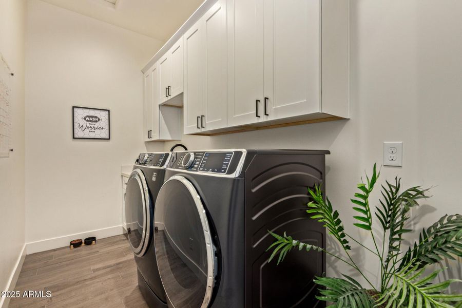 43 - Hummingbird 43 - Hummingbird