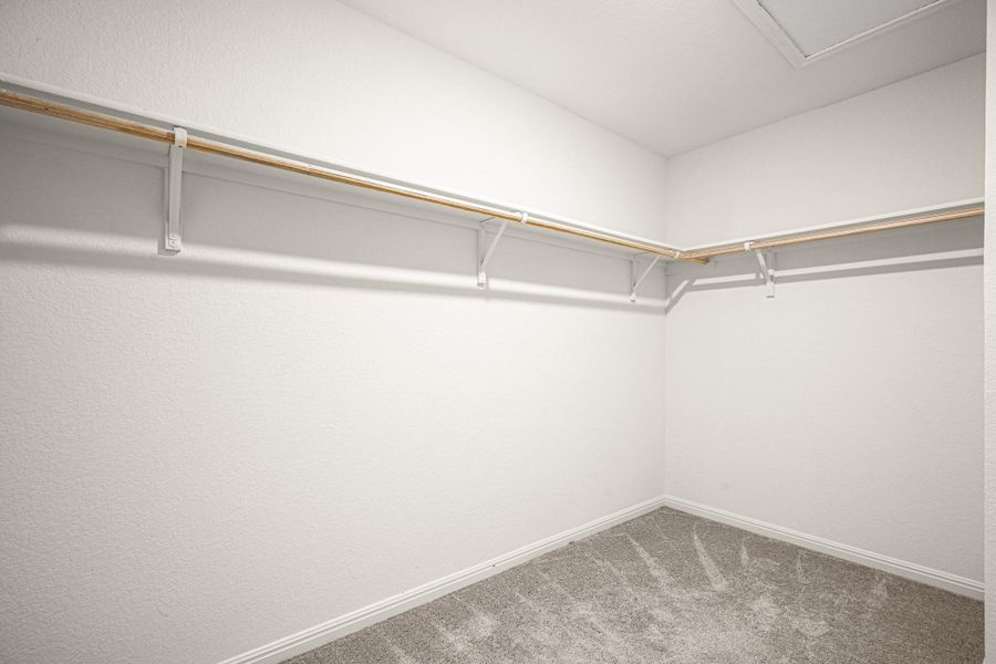Walk in closet with light colored carpet