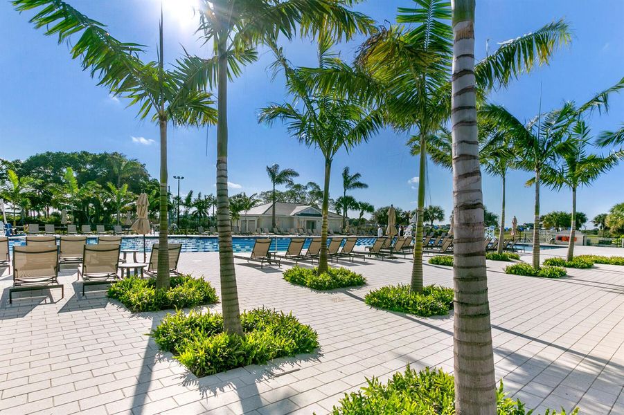 Pool Deck Pool Deck