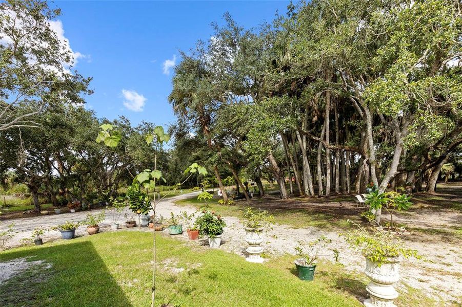 Natural landscape and outdoor views near  in Okeechobee (Image 31).