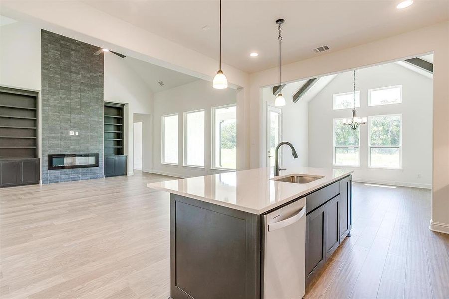 Kitchen featuring stainless steel dishwasher, a fireplace, built in features, sink, and light hardwood / wood-style floors