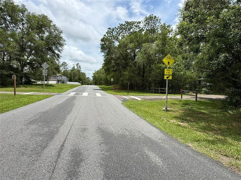 Natural landscape and outdoor views near in Citrus Springs (Image 37). Natural landscape and outdoor views near in Citrus Springs (Image 37).