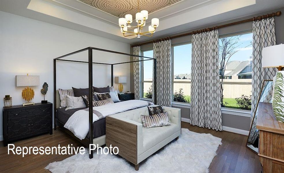 Tray ceiling with decorative inset, chandelier lighting, hardwood-finish flooring, and multiple windows with exterior views Tray ceiling with decorative inset, chandelier lighting, hardwood-finish flooring, and multiple windows with exterior views