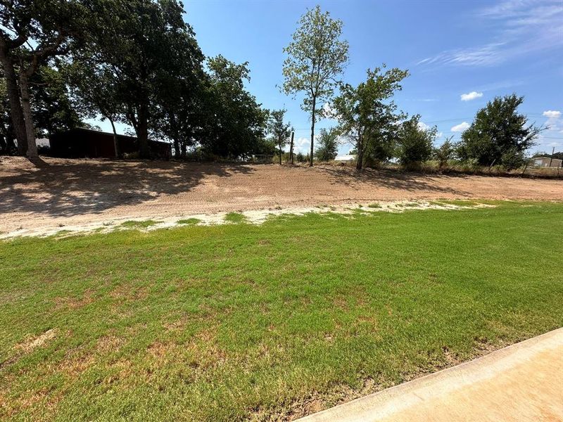 the regrading of the yard made it a more friendly space for kids, a pool, and animals