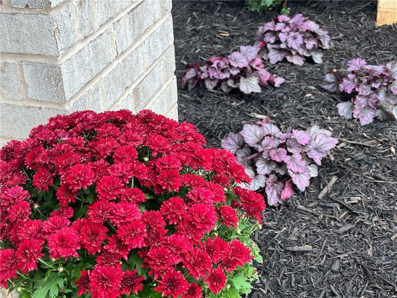 Image 172 of a home in . Image 172 of a home in .