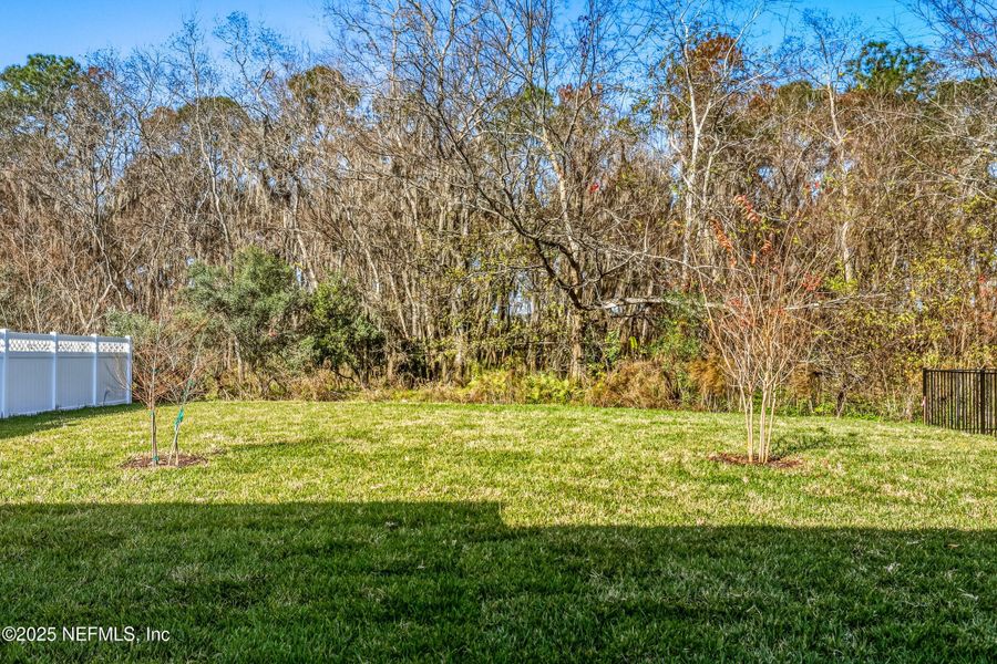 Natural landscape and outdoor views near Silver Landing at SilverLeaf in St. Augustine (Image 76).