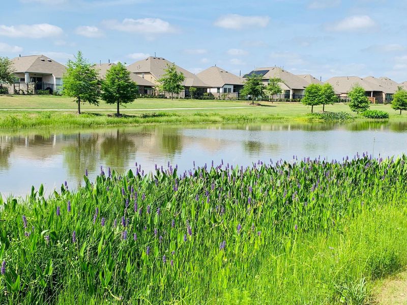 Natural landscape and outdoor views near Elyson in Katy (Image 12).