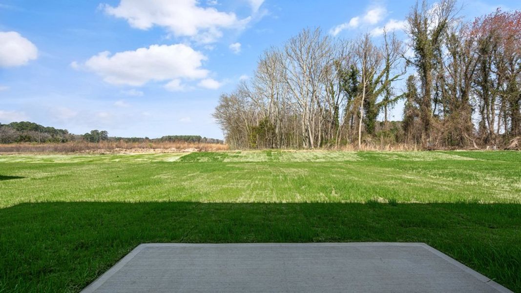 Natural landscape and outdoor views near Madeline Farm in New Bern (Image 31).