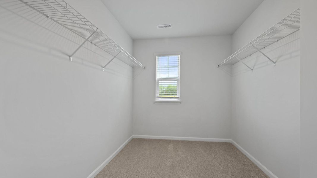 Spacious, unfurnished interior of a new home in Huggins Hill, Manning (Image 11).