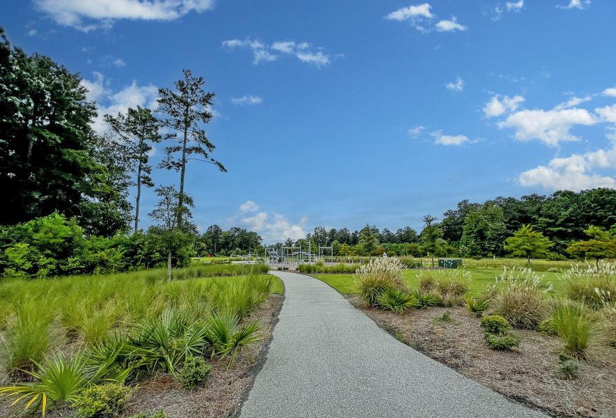 Natural landscape and outdoor views near  in Charleston (Image 51).