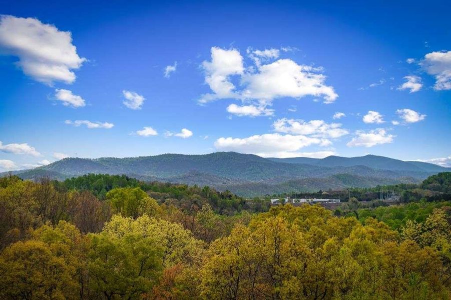 Natural landscape and outdoor views near  in Blue Ridge (Image 69).