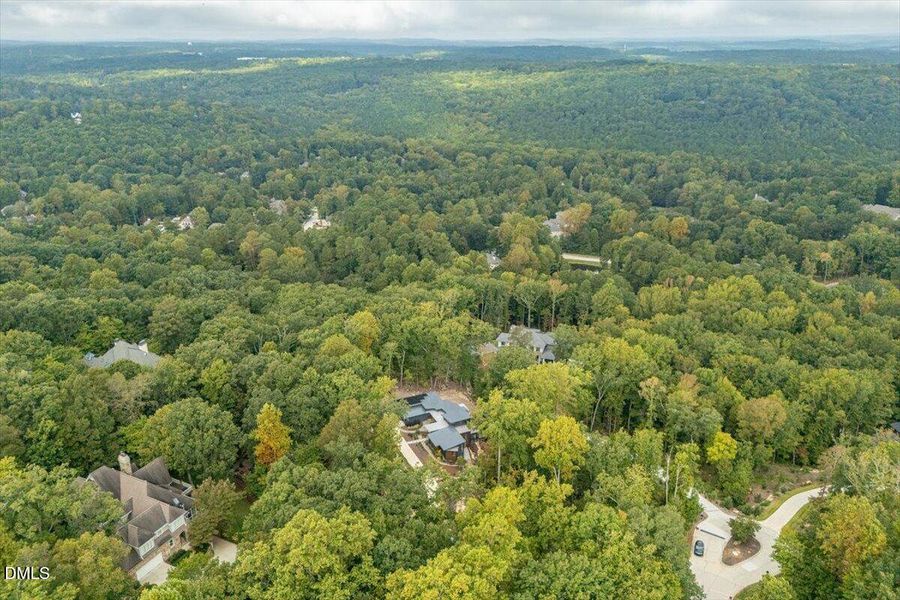 098-23930 Cherry-Drone 09