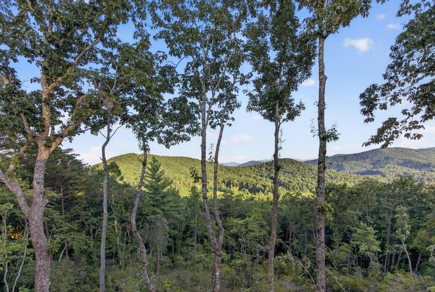Natural landscape and outdoor views near  in Blue Ridge (Image 81).