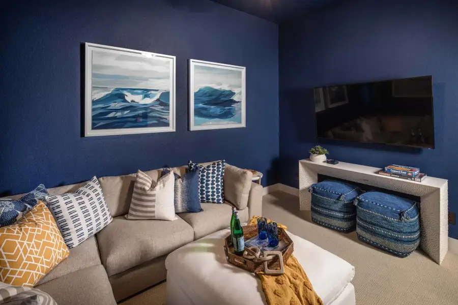 Representative Entertainment Room - some options shown
