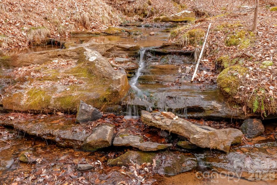 Natural landscape and outdoor views near  in Rutherfordton (Image 32).