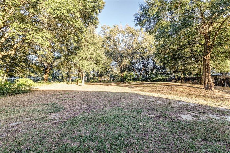 Natural landscape and outdoor views near  in Winter Haven (Image 20).