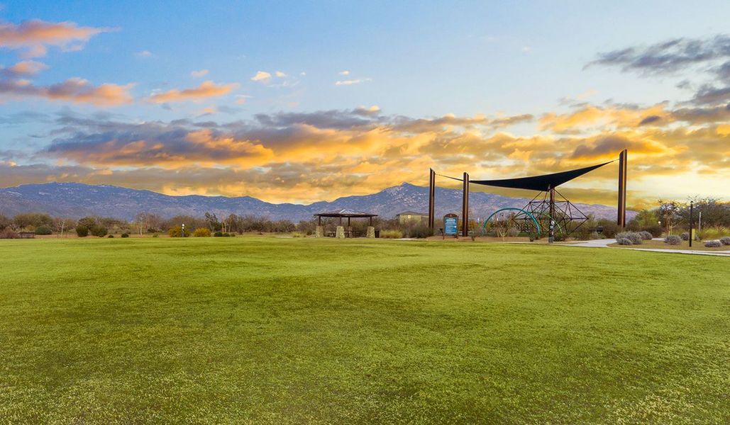 Community amenities associated with the Parker by D.R. Horton in The Oasis at Rocking K, Vail (Image 40).